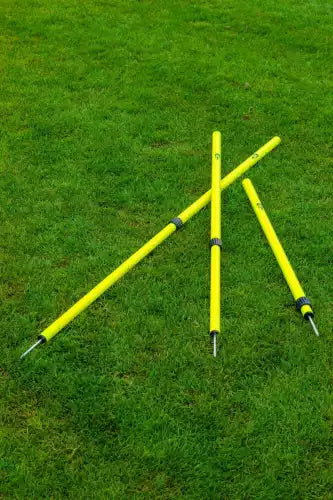 Teleskopische Slalomstangen - 6er-Set